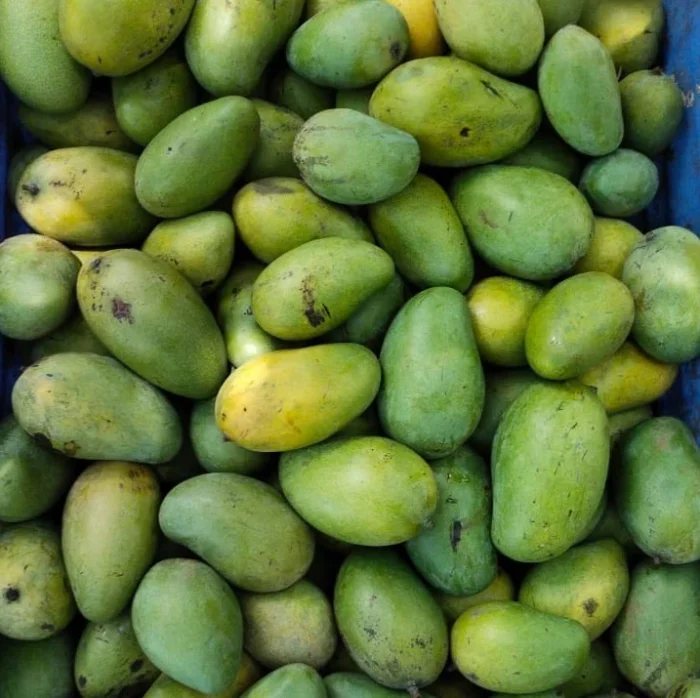 Mango Amarpali 5Kg