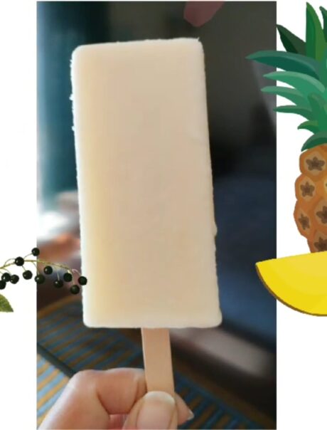 Tender Coconut  Popsicle
