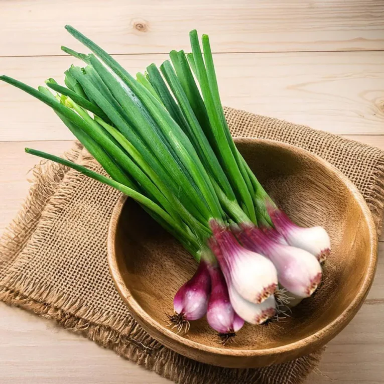 spring-onion-100-g-product-images-o590000125-p611315718-0-202504161926