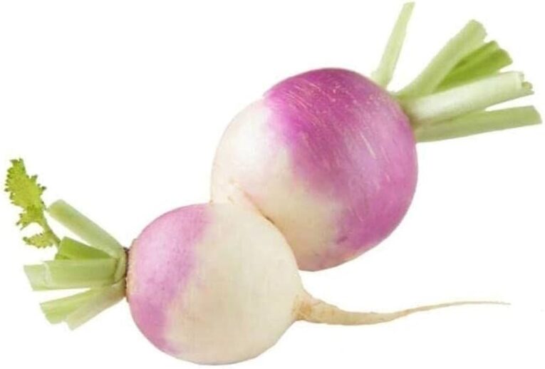 Turnip-Shalgam