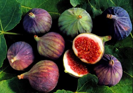 Fresh Figs(Mahabaleshwar) 500g
