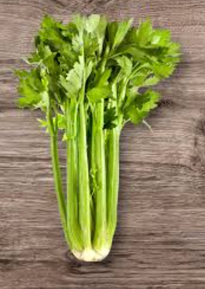 Celery