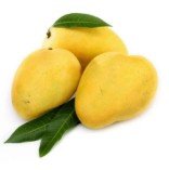 Mango Dinga